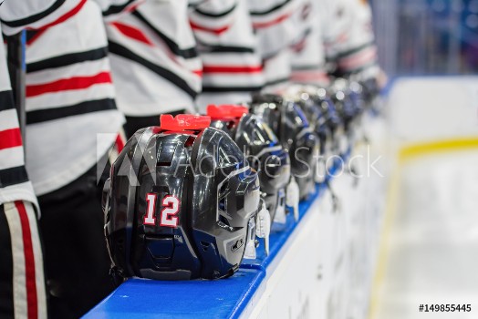 Picture of Hockey Team Lined up at bench during national anthem